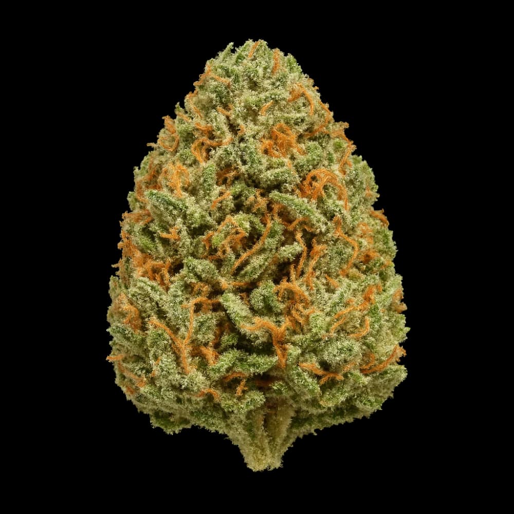 Amnesia Bomb