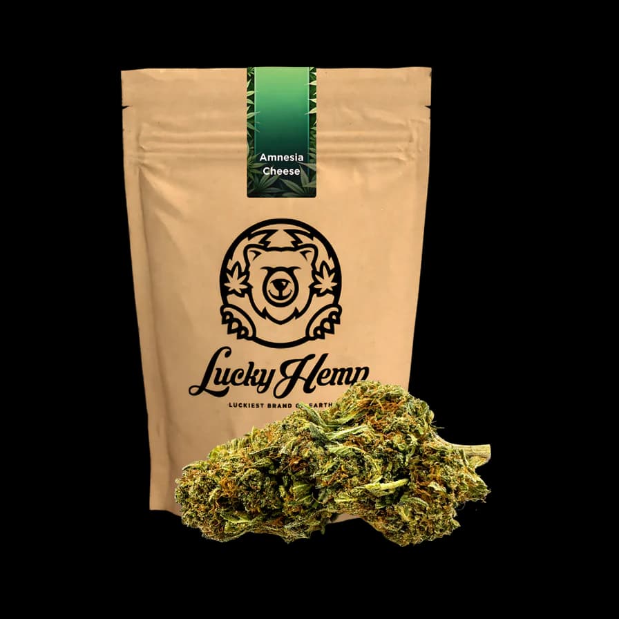Amnesia Cheese Ökopack