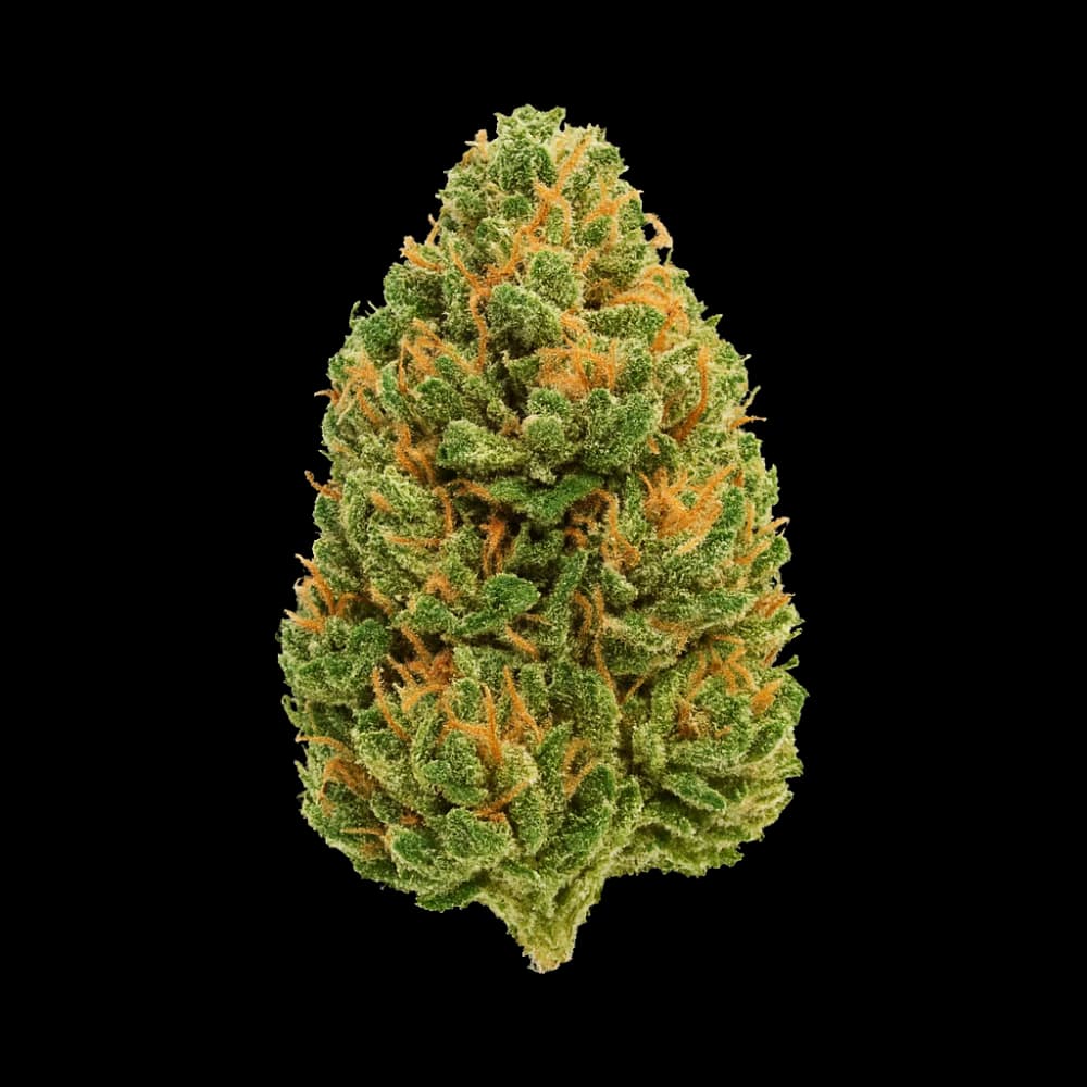 Green Gusher