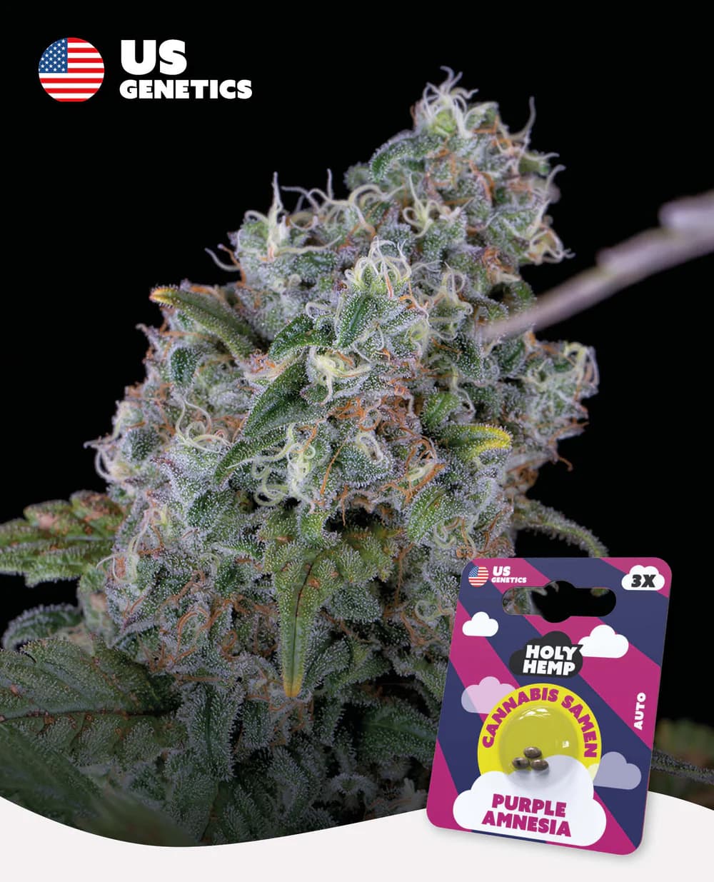 Purple Amnesia Automatic