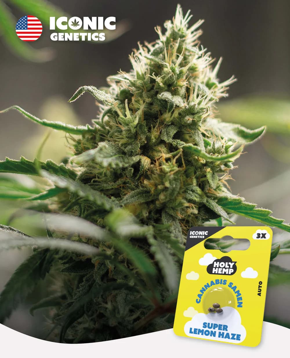 Super Lemon Haze Automatic free-gift-icon